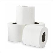 Papier toilette haute qualit 3 paisseurs label Ecolabel - 250 feuilles - Le lot de 24 rouleaux