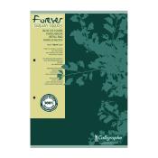 Cahier Calligraphe Forever 100% recycl A4 - Spirales - 100 pages - Quadrill 5x5 - 21 x 29,7 cm - Lot de 5